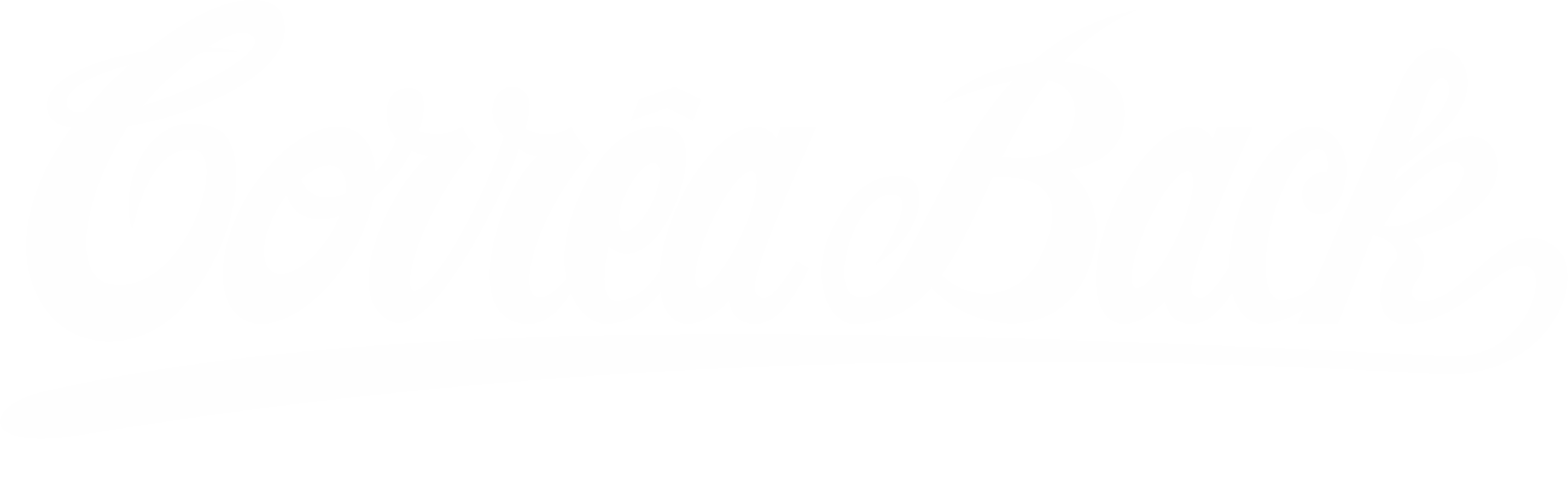 Logo Corrêaback
